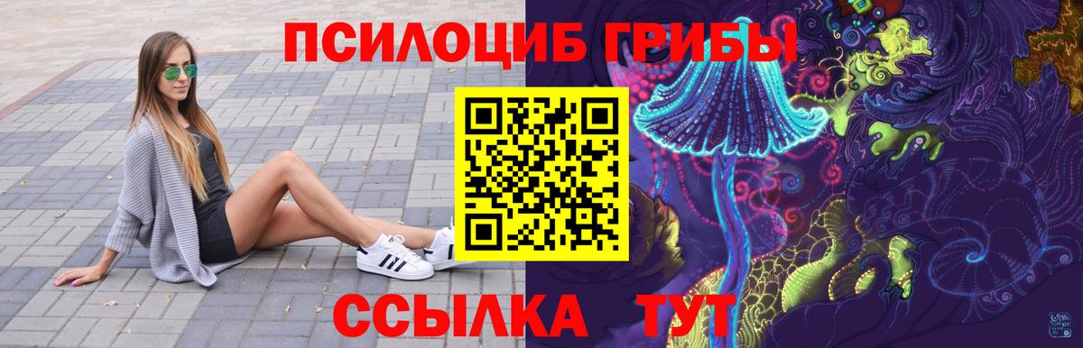 Псилоцибиновые грибы мицелий Рассказово