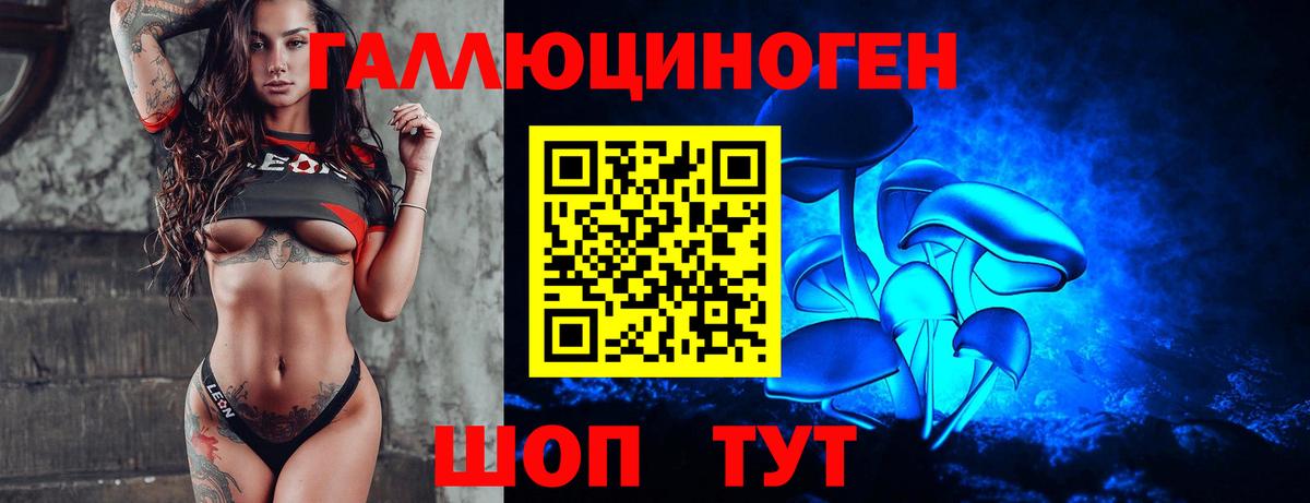 Галлюциногенные грибы GOLDEN TEACHER  Вход с VPN  Рассказово 